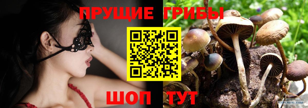 Псилоцибиновые грибы мухоморы  Галлюциногенные грибы Psilocybine cubensis  Светлоград  Вход с VPN 
